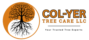 Col-Yer Tree Care - Trusted, Mission-Driven Tree Service Rooted in Integrity Since 2005